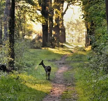 Capfun Luxe Onthaasten Op De Veluwe *