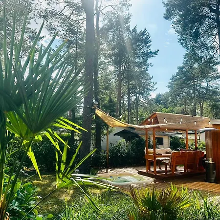 Parque de vacaciones Capfun Luxe Onthaasten Op De Veluwe Za Tm Za Doornspijk