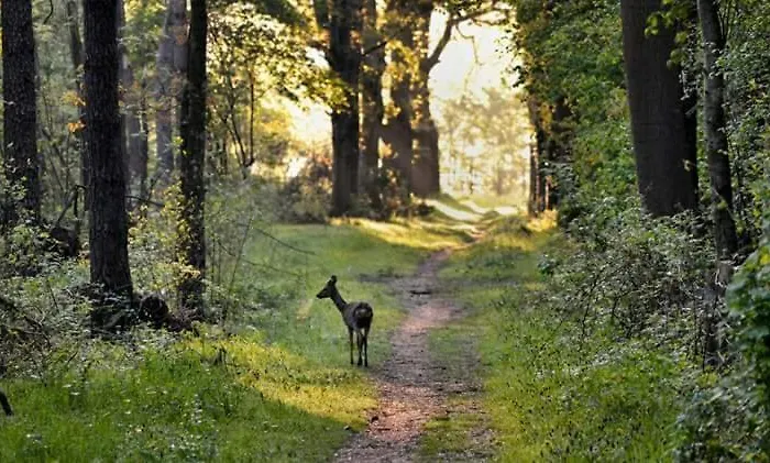 Capfun Luxe Onthaasten Op De Veluwe Za Tm Za *