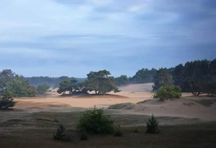 Parque de vacaciones Capfun Luxe Onthaasten Op De Veluwe Za Tm Za
