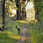 Capfun Luxe Onthaasten Op De Veluwe *