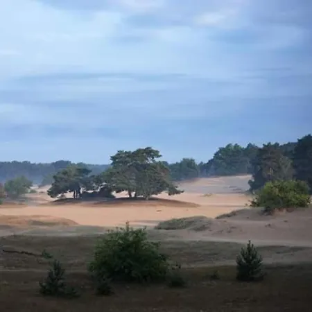 Parque de vacaciones Capfun Luxe Onthaasten Op De Veluwe